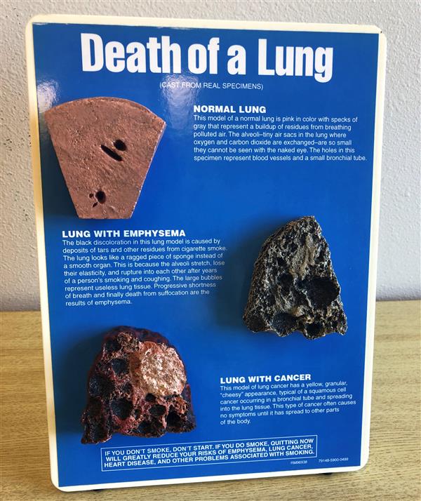 lung death