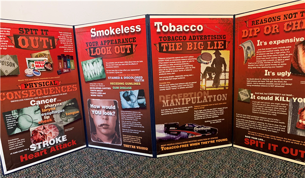 smokeless tobacco foldout